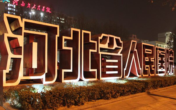 U8国际案例河北省人民医院
