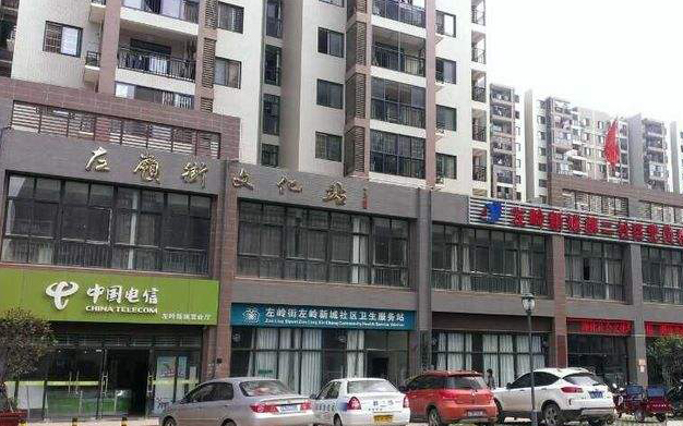 U8国际华中地区案例：武汉市左岭新城