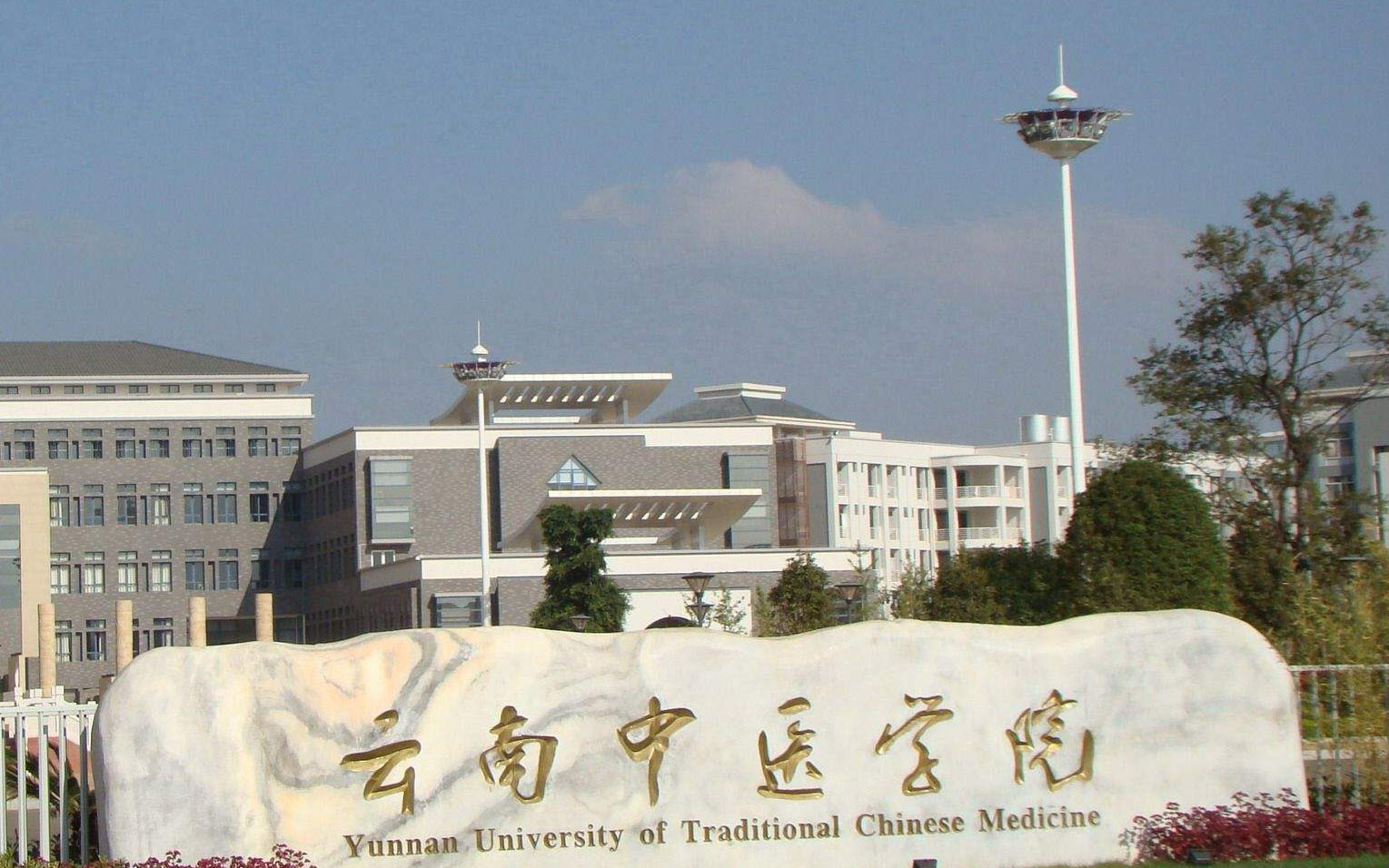 U8国际厂家案例：云南省中医学院